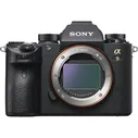 Фотоаппарат беззеркальный Sony Alpha ILCE-9 Body – отзывы
