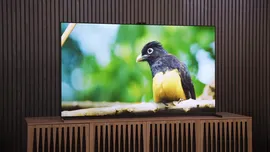 Sony Bravia A95L 55-inch Ultra HD 4K Smart QD-OLED TV (2023)