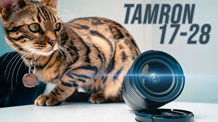 Есть что НЕНАВИДЕТЬ...|| Обзор Tamron 17-28 f2.8 Sony E Mount