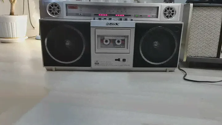 Sony cfs v3(1)
