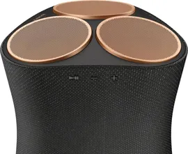 Колонка Sony SRS-RA5000