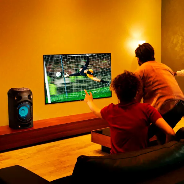 Характеристики - Музыкальный центр SONY MHC-V21D-4