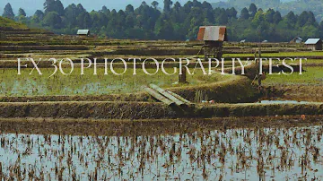 A slow day in Ziro | cinematic film shot on Sony FX 30
