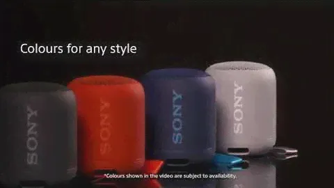 XB12 EXTRA BASS™ Portable BLUETOOTH® Speaker