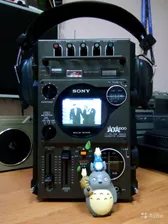 Sony FX-300 Jackal в Москве