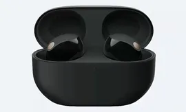 Беспроводные наушники Sony WF-1000XM5 True Wireless Black