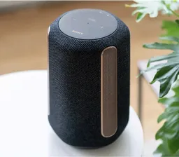 Колонка Sony SRS-RA3000