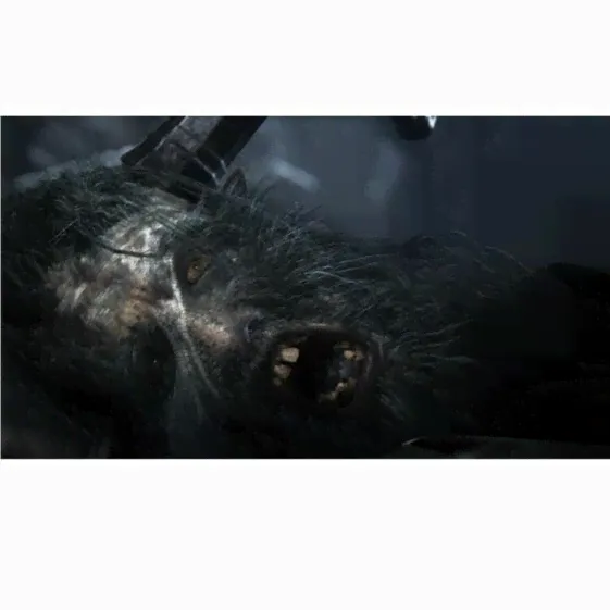 Видеоигры PlayStation 4 Sony Bloodborne PlayStation Hits-4