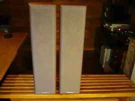 Sony SS - MF450H.
